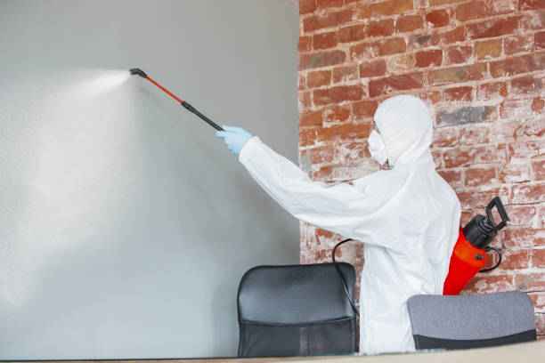 Best Industrial Mold Remediation  in Tukwila, WA