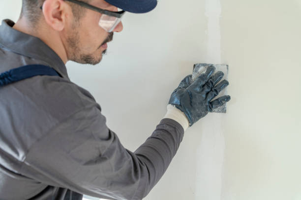 Best Comprehensive Air Testing for Mold Contaminants  in Tukwila, WA