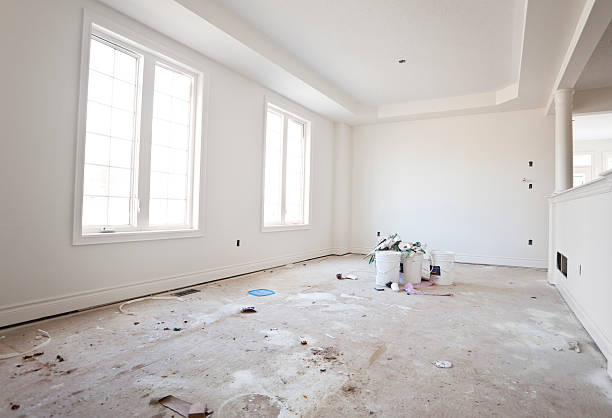 Best Mold-Related Health Consultation  in Tukwila, WA